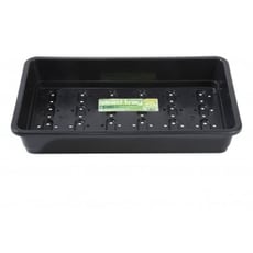 Seed Tray with holes